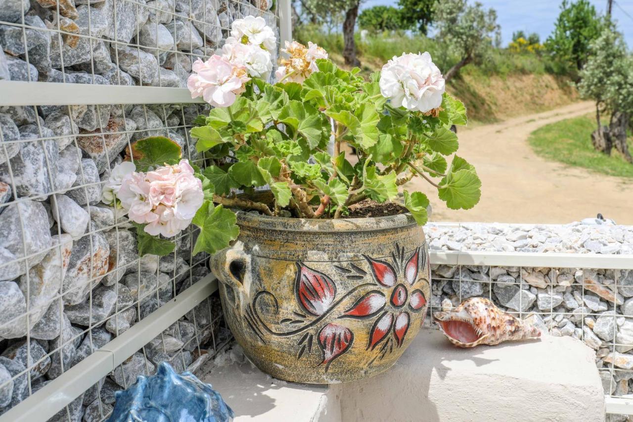 Casa Rozana - Skiathos Bagian luar foto